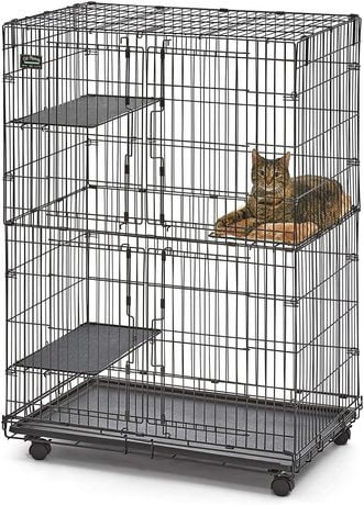 deter cats from scratching carpet