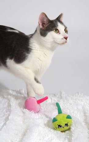 Hartz Cattraction Macaron Mice Cat Toys | Walmart Canada