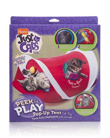 pop n play cat toy walmart