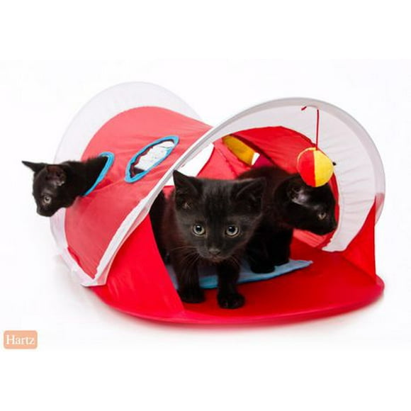Hartz Peek & Play Tente Auto-Deployante jouet pour chat Une tente surgissante pour chat