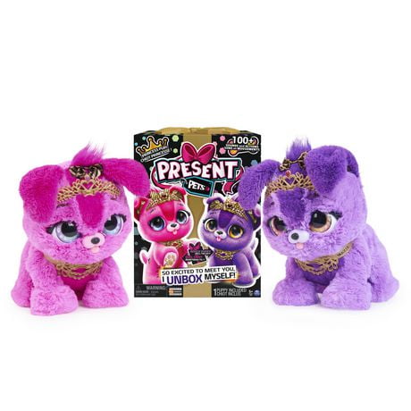 Present Pets - Sparkle Princess