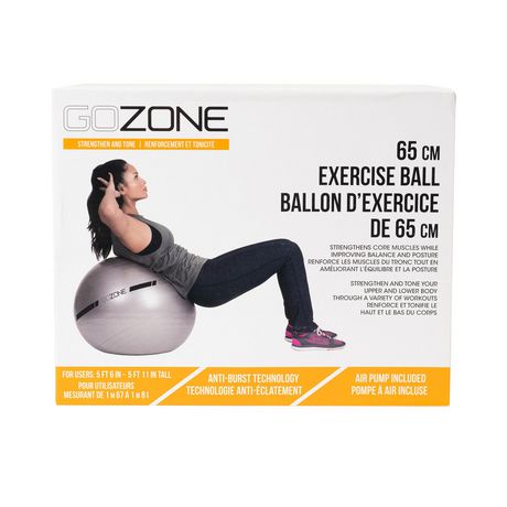 Gozone 65Cm Exercise Ball – Grey/Black | Walmart Canada