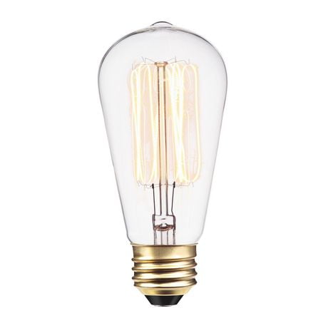 Ampoule Vintage Edison incandescente S60 avec filament et cage d'écureuil de 60W de Globe Electric, base E26, 220 Lumens, 01321