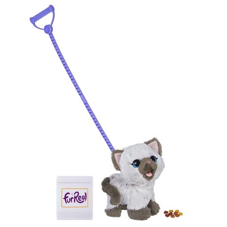 toy cat with leash