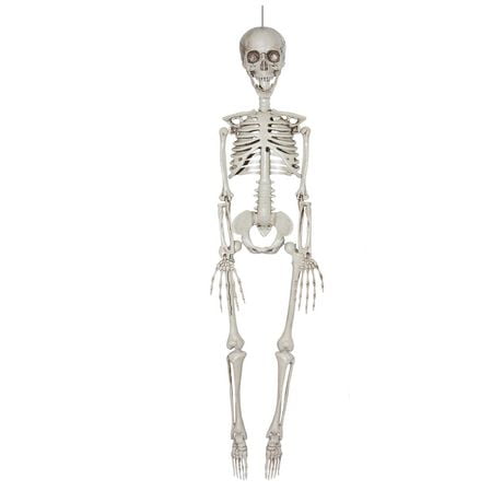 Way to Celebrate Posable 35IN Skeleton | Walmart Canada