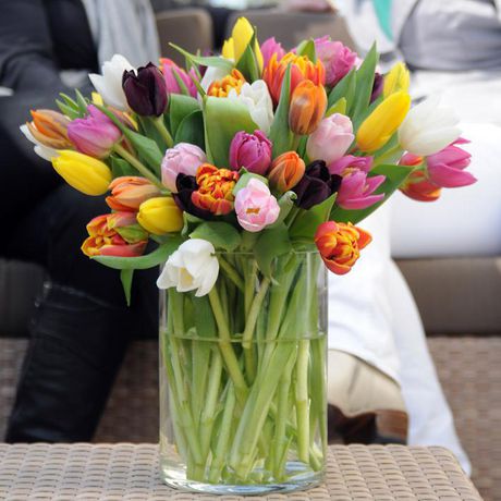 Flower Bulbs - Tulip Assorted (25 Bulbs) | Walmart Canada