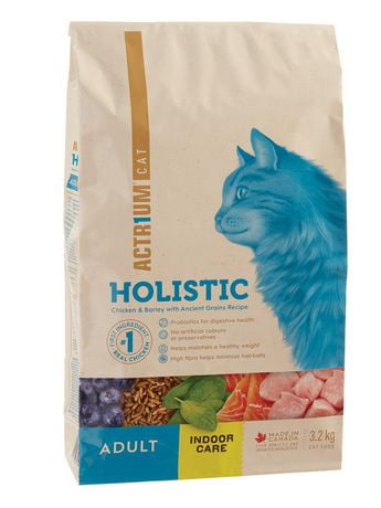 holistic diet for cats