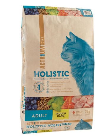 dog kitty litter box