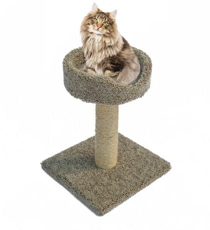 Sisal Scratch Post with Basket | Walmart Canada