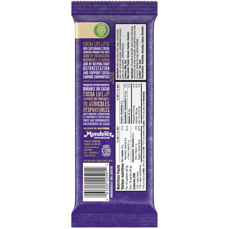 Cadbury Dairy Milk, Milk Chocolate, 100 g | Walmart Canada