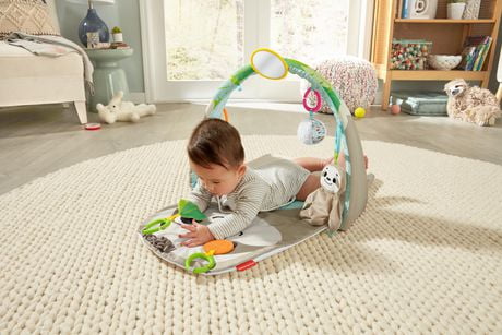 sloth baby toy fisher price