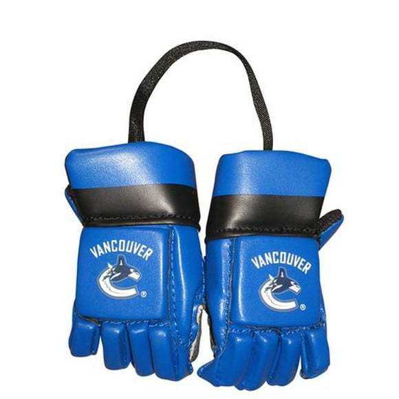 NHL Mini Gloves Vancouver Canucks