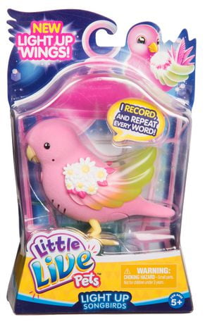 little live pets 2019