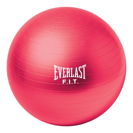 everlast stability ball