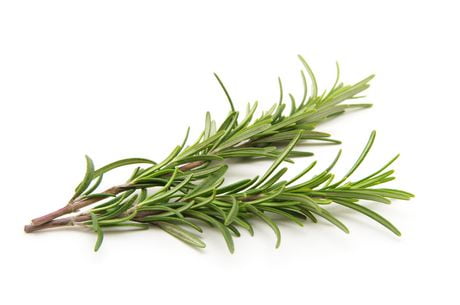 Rosemary, Fresh - Walmart.ca