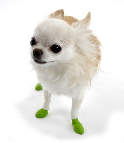 pawz dog boots large