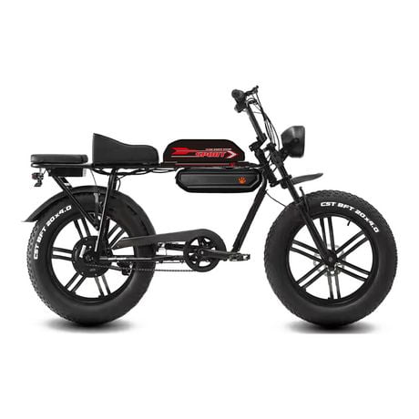 Vélo électrique GoTyger 500 W 2 places 20 po 4.0 Fat Tire