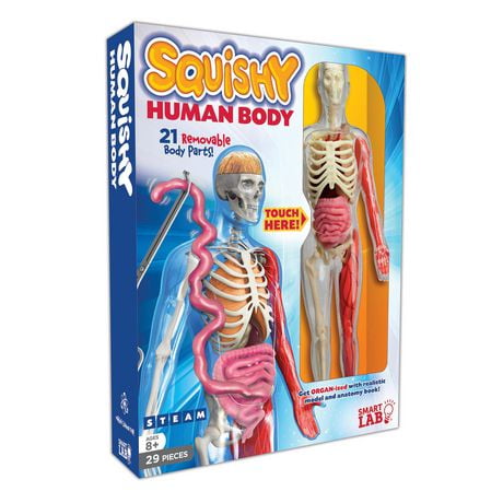 Smart Lab Squishy Human Body, Educational Toy for Kids, Ages 8 and up