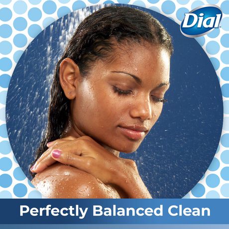 Dial Silk & Seaberry Body Wash 473mL | Walmart Canada