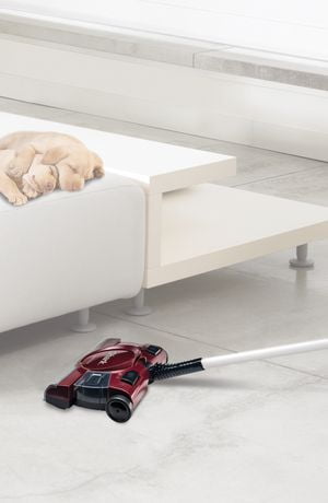 carpet sweeper walmart canada