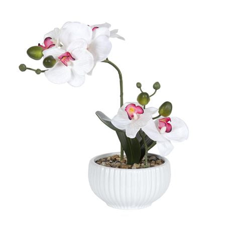 Kelso Faux Orchid in White Ribbed Pot - Walmart.ca