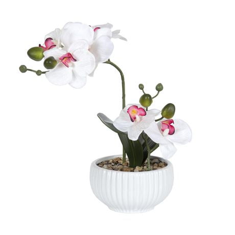 Fausse orchidée Kelso dans un pot blanc rainuré