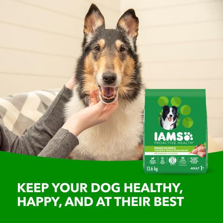 iams mini chunks walmart