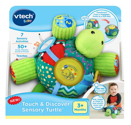 sensory turtle toy