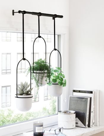 planter umbra herb triflora hanging indoor window garden