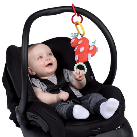 Manhattan Toy Cactus Jardin Bloom Bite Sans Silicone Avec Anneau De Dentition En Silicone Jouet Bebe Walmart Canada