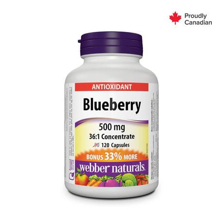 Webber Naturals® Blueberry 36:1 Concentrate, 500 mg, 90 + 30 Capsules, BONUS!