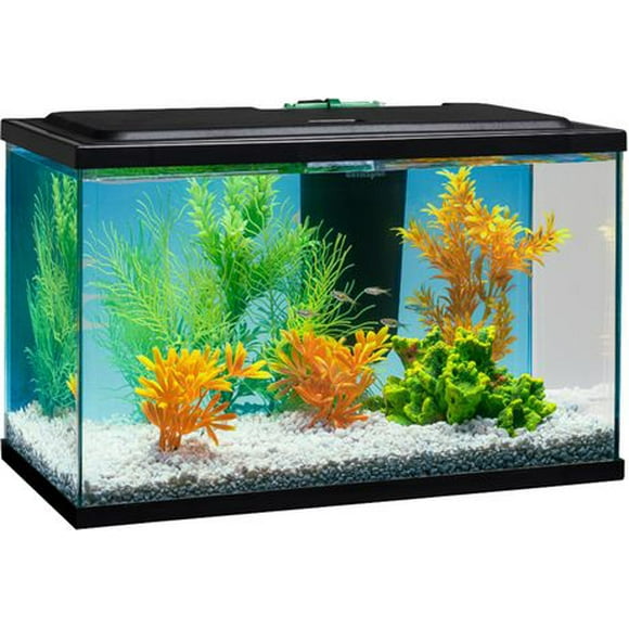 Tetra Aquarium 5 Kit with LED Filter & Conditioner, 5 Gallon
