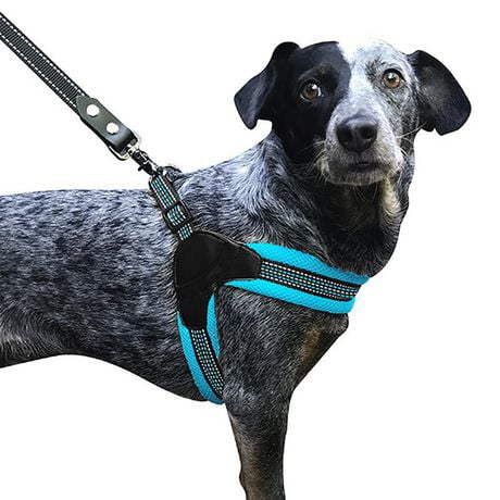 Sporn Easy Fit Harness, Dog Walking Harness