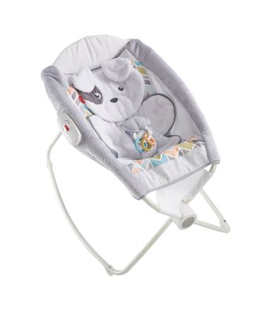 fisher price rock and play chair
