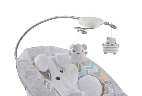 fisher price sweet snugapuppy bouncer batteries