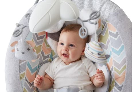 sweet snugapuppy dreams deluxe bouncer