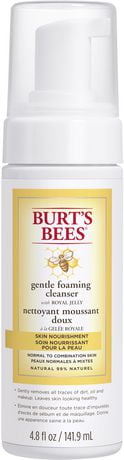 UPC 792850898073 product image for Burt's Bees Burt S Bees Skin Nourishment Gentle Foaming Cleanser, 141.6Ml 1 | upcitemdb.com