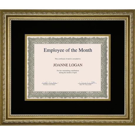 St. James Awards & Certificate Frame, Florentine Gold with Double Mat ...