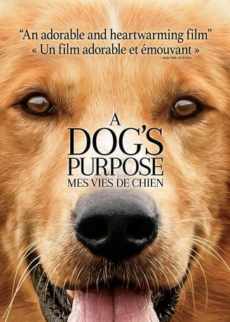 A Dog S Purpose Movie Walmart A Dog S Purpose Movie Walmart