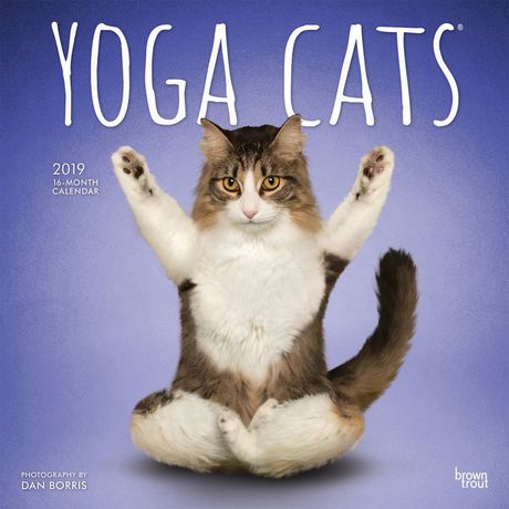 19 Chats De Yoga Calendrier Walmart Canada