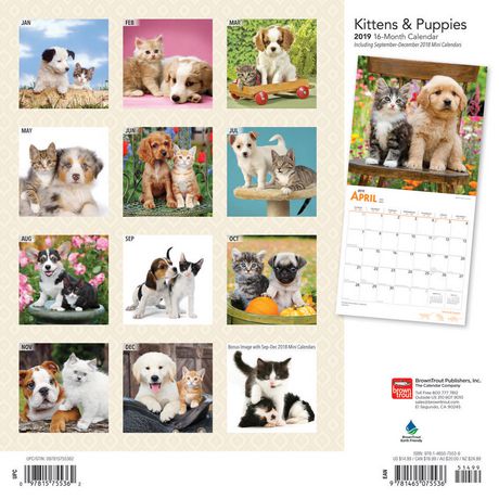 2019 Kittens & Puppies Calendar | Walmart Canada