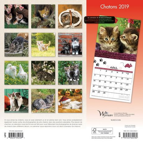 2019 Chatonscalendar 