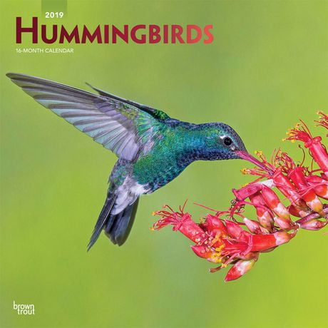 2019 Hummingbirds Calendar | Walmart Canada