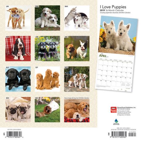 2019 Puppies, I Love Calendar | Walmart Canada