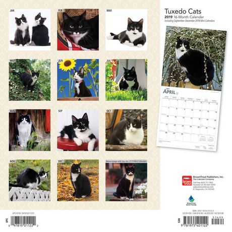 2019 Tuxedo Cats Calendar | Walmart Canada
