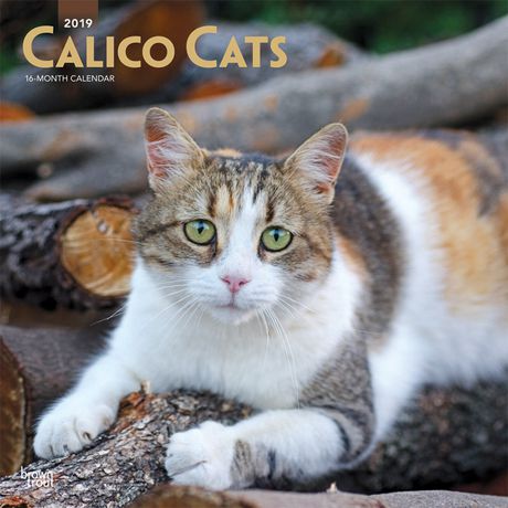 19 Calico Cats Calendar Walmart Canada