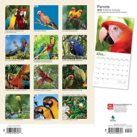 2019 Parrots Calendar | Walmart Canada