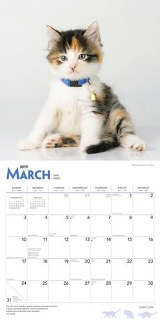19 Chats Calico Calendrier Walmart Canada