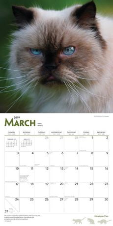 19 Chats Himalayens Calendrier Sq Walmart Canada