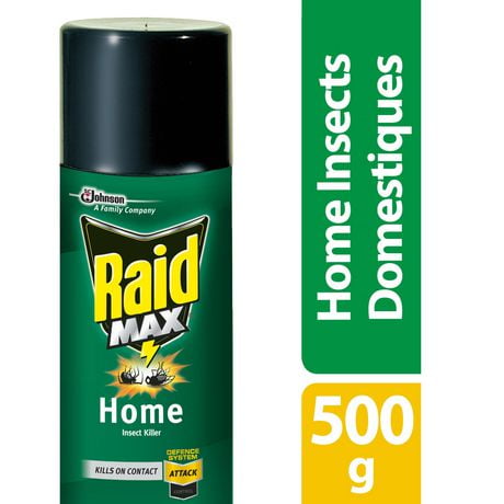 Raid Max Home Insect Killer, Kills Listed Bugs on Contact, For Indoor and Outdoor Use, 500g